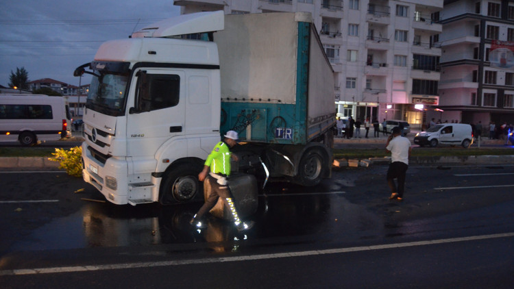 TIR şoförünün kediyi ezmemek için yaptığı manevra kazaya neden oldu: 1 yaralı TIR şoförünün kediyi ezmemek için yaptığı manevra kazaya neden oldu: 1 yaralı