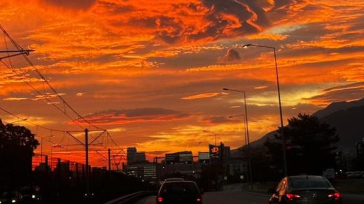 Bursada görenler telefonuna sarıldı Sıra dışı oluşum dikkat çekti