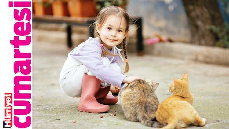 Hayvanları korumayı nasıl öğretiriz Hayvanları korumayı nasıl öğretiriz