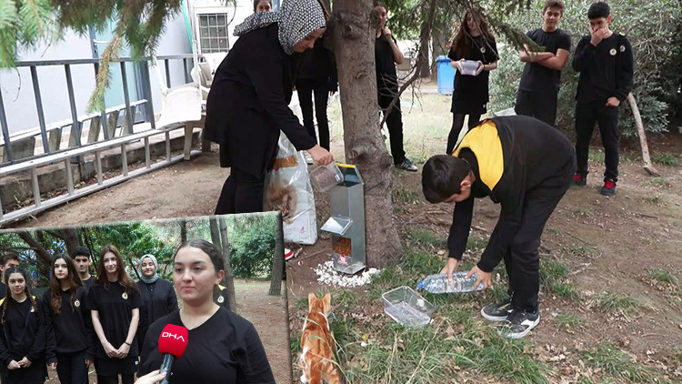 Demirören Medya ve Teknoloji MTAL öğrencilerinden sokak hayvanlarına anlamlı destek Demirören Medya ve Teknoloji MTAL öğrencilerinden sokak hayvanlarına anlamlı destek