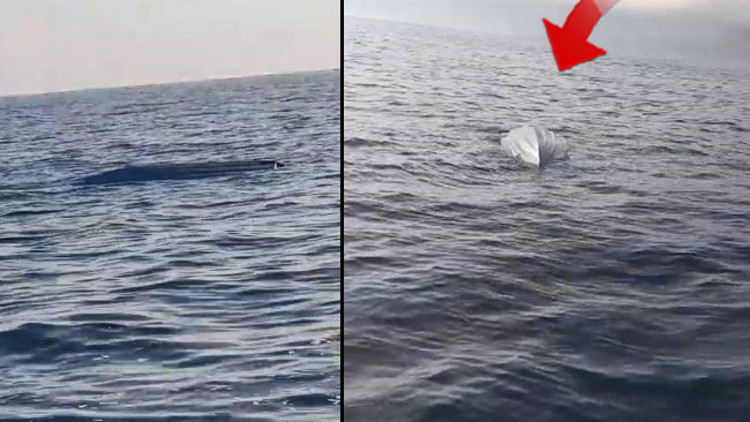 Karadeniz kıyılarında tedirgin eden cisim İnceleme başlatıldı Karadeniz kıyılarında tedirgin eden cisim İnceleme başlatıldı