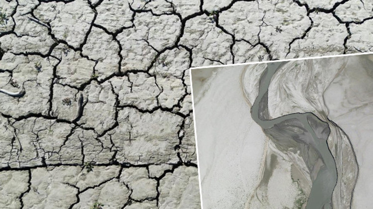 Yıllar önce sular altında kalmıştı Köylüler fırsatı değerlendirip ektiler: Dedelerimizden kalmıştı