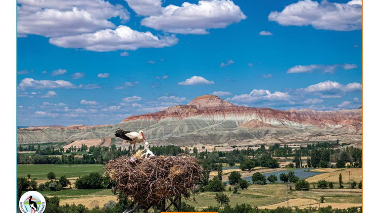 Etkileyici karelerle doğanın hikâyesi