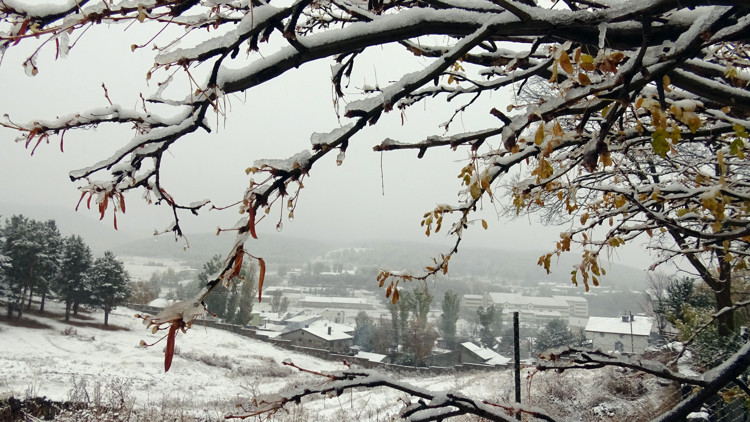 Sarıkamışta ilçe merkezine, Ardahan, Tunceli, Erzincan ve Ağrıda ise yükseklere kar yağdı Sarıkamışta ilçe merkezine, Ardahan, Tunceli, Erzincan ve Ağrıda ise yükseklere kar yağdı
