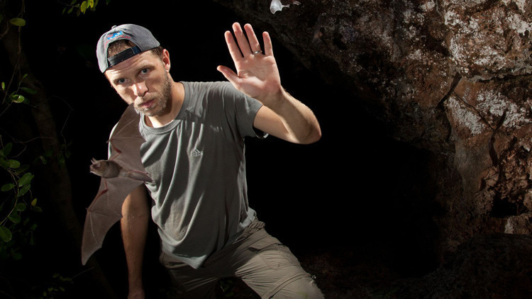 Tiergartende uzun Bilim Gecesi