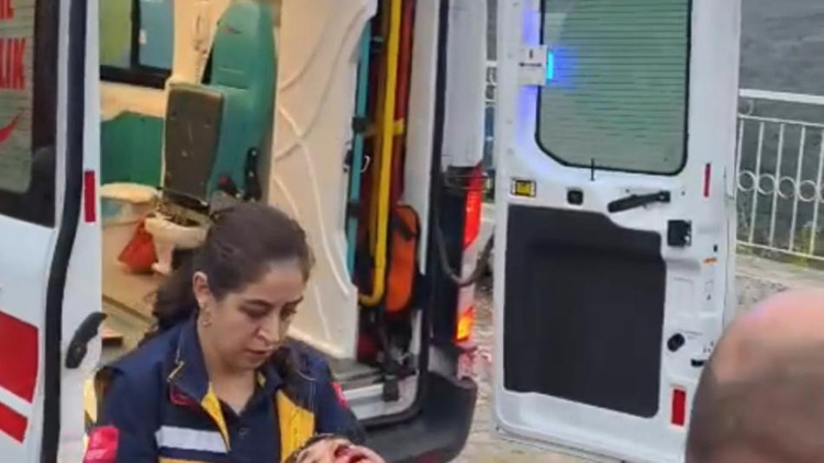 Aydın’da kamyonet uçuruma yuvarlandı: 3 yaralı