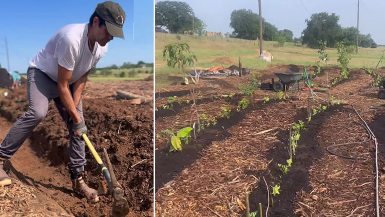 Bir zamanlar hızlı hayatından başı dönüyordu... Huzuru doğduğu topraklarda buldu... Şimdi çiftçiliğin dersini veriyor