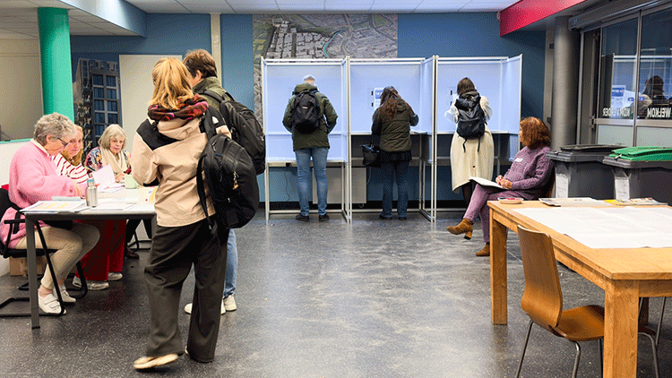 Hollandada sandık çıkış anketlerinin sonuçları açıklandı