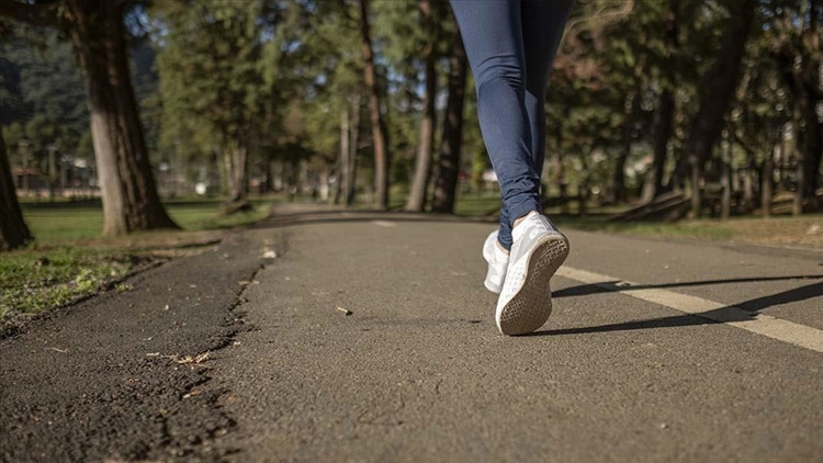 Slovakya’dan ilginç düzenleme: Yayalara hız sınırı