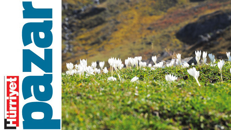 Kaçkarlar’da başka bir sonbahar var