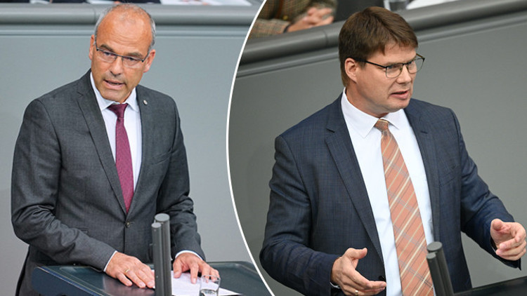 AfD milletvekillerini Rusya ziyareti tartışma yarattı