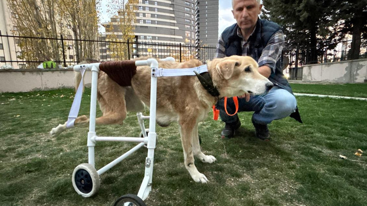 Yürüteç değil yaşam umudu