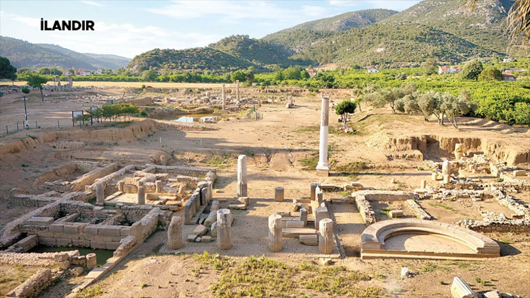 Türkiyenin Florası Dijital Veri Heykeli Oldu