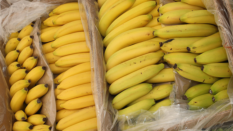 Lübeckte muz kutularında kokain ele geçirildi Lübeckte muz kutularında kokain ele geçirildi