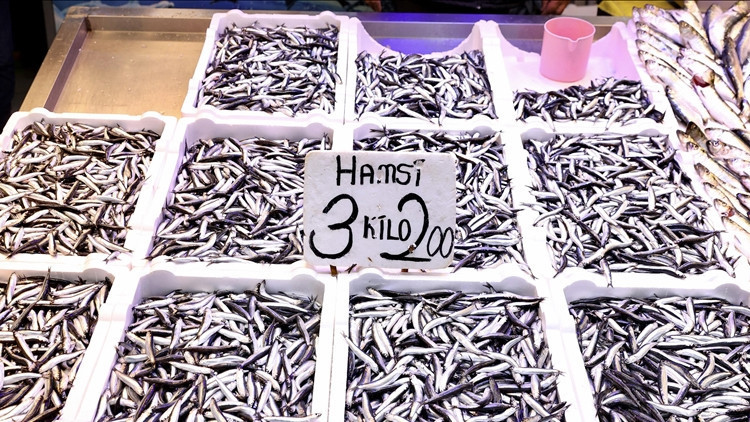 Trabzonda hamsinin kilosu 75 TL