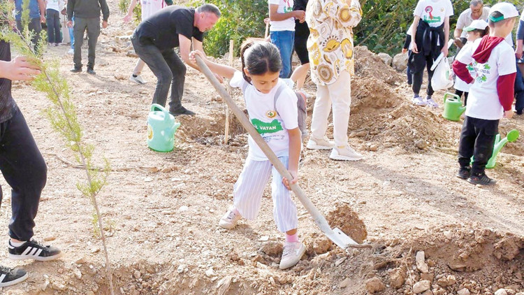 11 Kasım rekoru: 14.9 milyon fidan toprakla buluştu