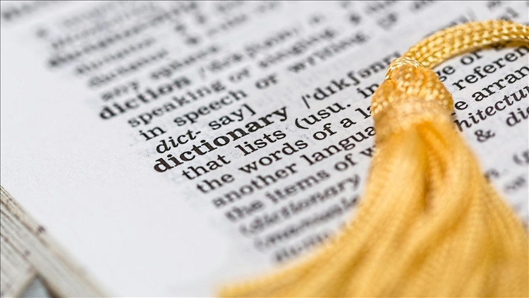 Yılın kelimesi: Parasosyal