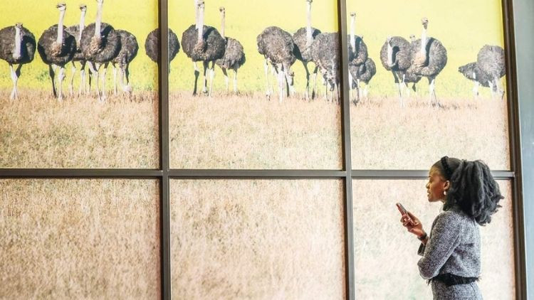 Afrika’daki ilk zirve