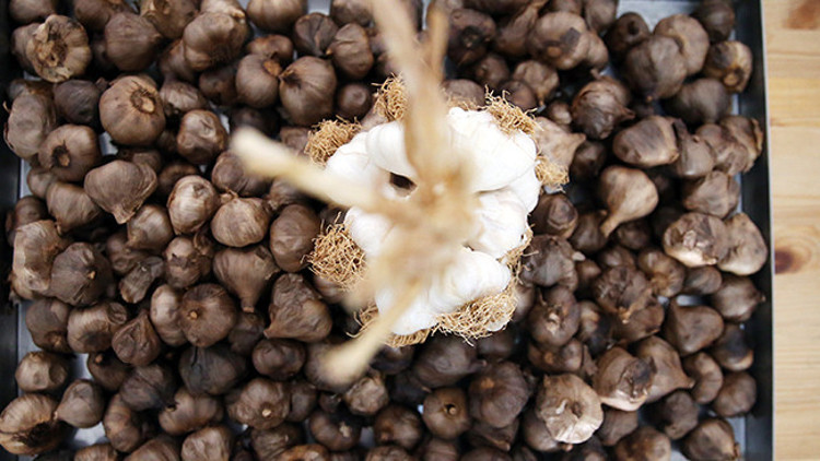 Güney Kore gezisi sırasında tanıştı: Taşköprü siyah sarımsağından üretti