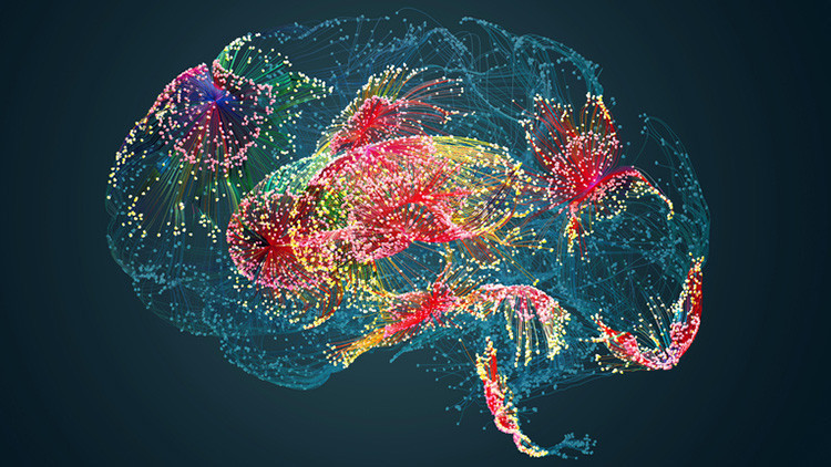 Bilim insanlarından önemli keşif: Bu dört yaş beynimiz için çok kritik Bir bulgu uzmanları bile şaşırttı