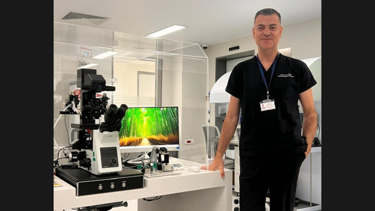 Tüp bebek tedavisinde başarıyı belirleyen kritik adım: Embriyo tutunması