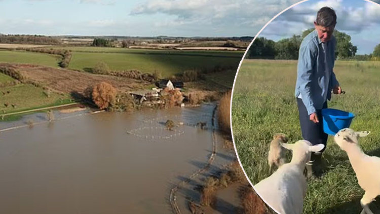 Ünlü sunucunun doğal yaşam hevesi kabusa döndü... Büyük rüya sele kapıldı... Milyonlar uçtu gitti