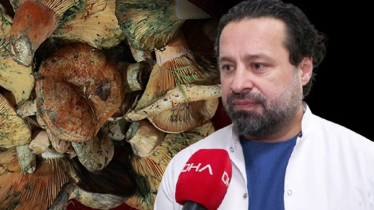 İstanbulda 60 kişiyi zehirledi: Yedikten 5 saat sonra etkisi başlıyor Uzmanı uyardı: Yok edici melek gibi isimler koymuşlar