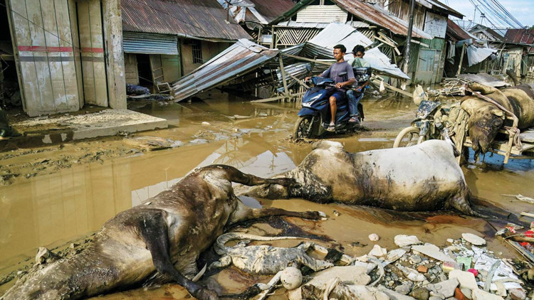 Endonezya’da sel sonrası açlık krizi Endonezya’da sel sonrası açlık krizi