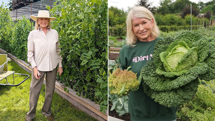 Yıllardır çiftliğinde atları ve eşekleriyle yaşıyor… Ünlü sunucu kararını çoktan vermiş: Ölünce beni onların yanına gömün