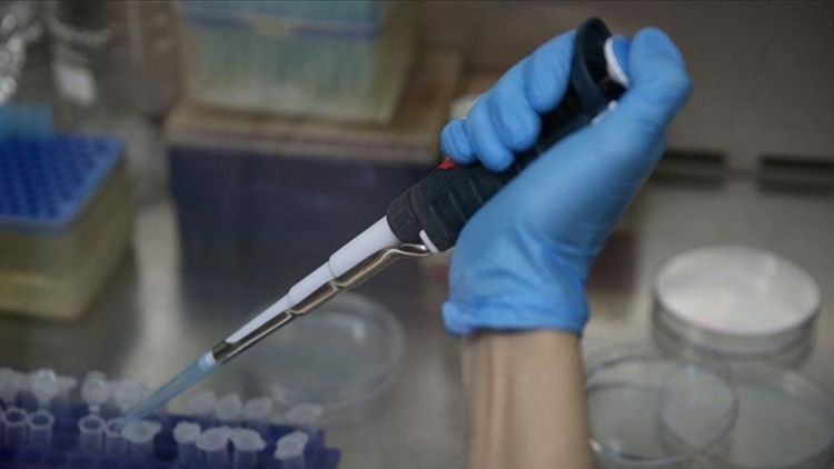 YÖK Başkanı Özvar açıkladı... Kırım Kongo Kanamalı Ateşine yerli ve milli aşı geliyor