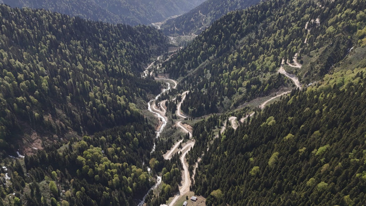 Karadenizde yağış değişimi alarmı; orman varlığı gençleştiriliyor