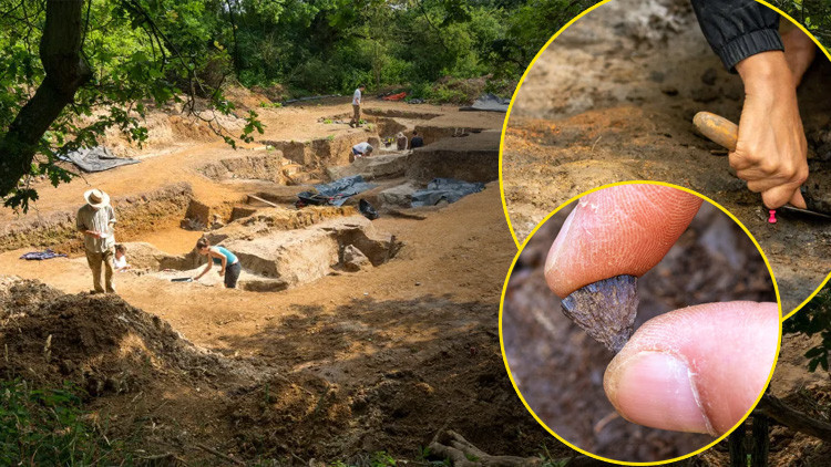 Bilim insanlarından inanılmaz keşif: Tarihte bir dönüm noktası En önemli kanıt aptal altını | 36 yıldır burada çalışıyoruz, ilk kez bulduk