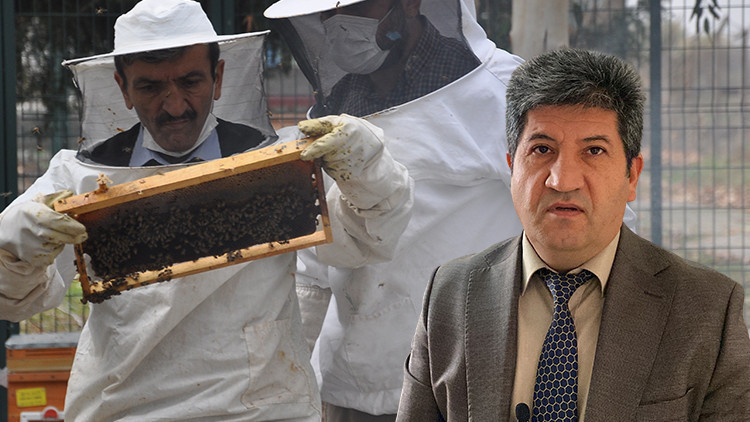İyi bal nasıl anlaşılır Uzman isim açıkladı... Sanılanın aksine bu şekilde olması gerekiyor