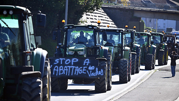 Fransada çiftçi protestoları: Hayvanların itlafı krize yol açtı