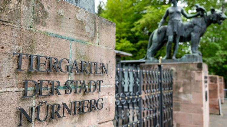 1 Şubat 2026dan İtibaren Geçerli: Nürnberg Hayvanat Bahçesi giriş ücretlerini artırıyor