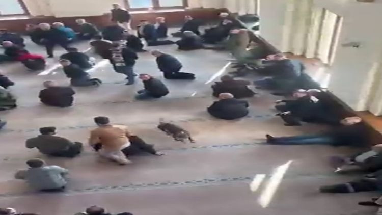 Pitbul cami cemaatinin arasına dalmıştı… Sahibine adli ve idari işlem uygulandı