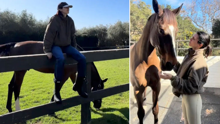 Ailesinden bağımsız olmak istedi... At çiftliğine milyonlar yatırdı