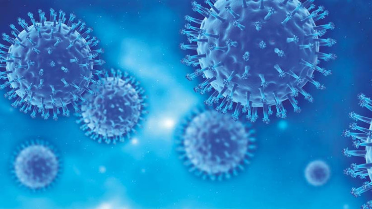 Küresel ısınma yüzünden gribin de mevsimi değişti Küresel ısınma yüzünden gribin de mevsimi değişti