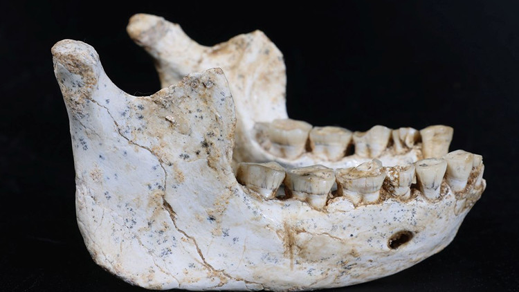 Fas’ta 773 bin yıllık insan kalıntıları bulundu