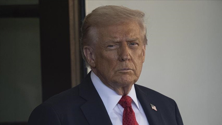 Trumptan 8 ülkeye Grönland vergisi