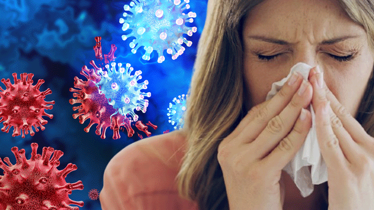 Bilim insanlarından çok ilginç deney Grip hastalarını sağlıklı yetişkinlerle birlikte bir otel odasına kilitlediler ve sonuçlar herkesi şaşkına çevirdi