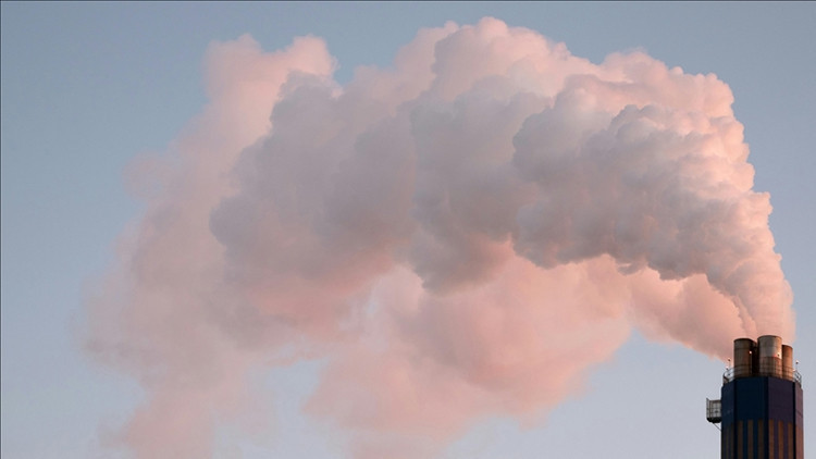 Karbondioksitten nişasta üretildi