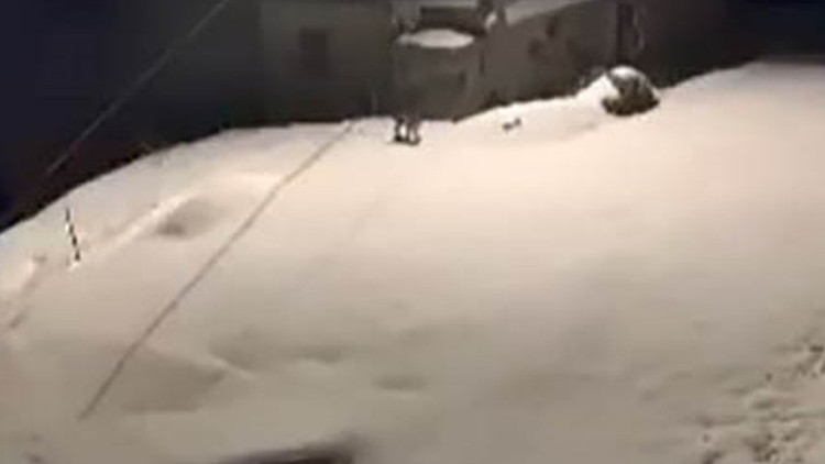 Nesli tehdit altında bulunan vaşak ailesi görüntülendi