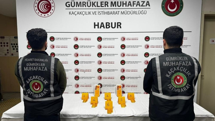 Haburda ayakkabı içerisinde 41 kilo altın ele geçirildi