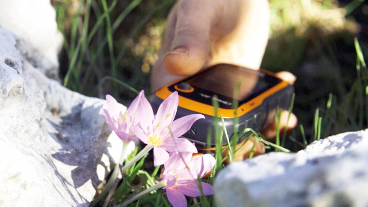 GPS’le izleniyorlar... Orkide alarmı