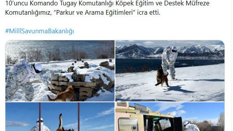 Mehmetçikten derin karda köpekli arama eğitimi