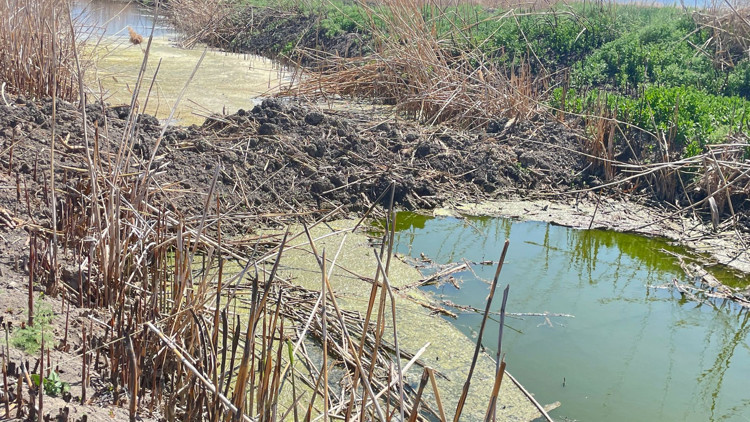 Kaçak bentler kaldırılıyor