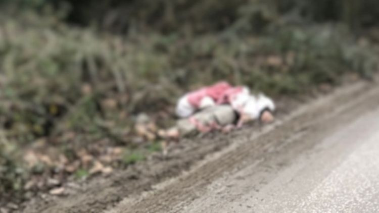 Umut tacirleri tarafından tırla getirilip köye bırakıldılar… Bir göçmen soğuktan öldü
