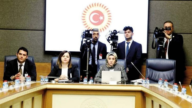 Meclis’te çarpıcı profiller: 17 yaşında 180 suç