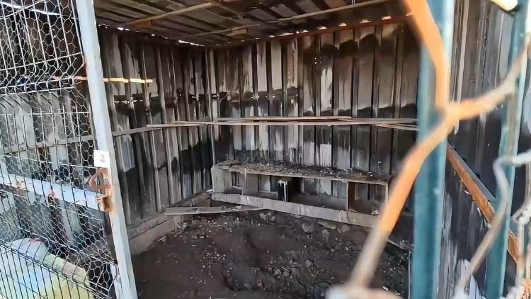Osmaniye’de bahçeye giren hırsız güvercinleri çaldı, o anlar kameraya böyle yansıdı Osmaniye’de bahçeye giren hırsız güvercinleri çaldı, o anlar kameraya böyle yansıdı